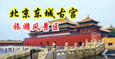中国骚穴网中国北京-东城古宫旅游风景区